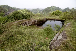 News 20110503.jpg