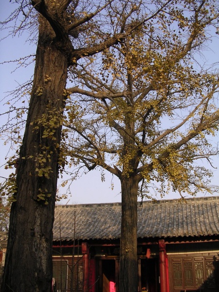File:Nancheng Jade Emperor Temple (Lianyungang, Jiangsu) 04.jpg